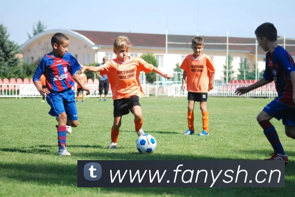 多媒体互动体验